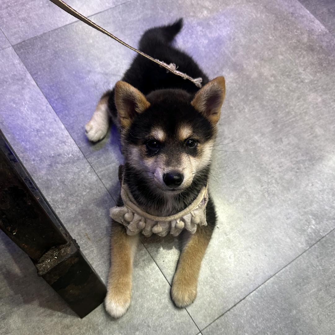 活着挺好