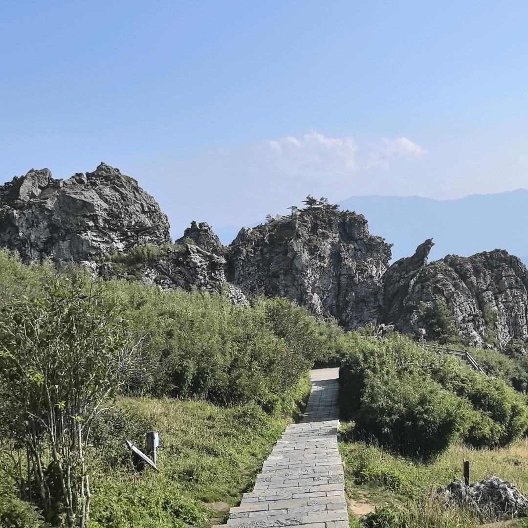 优选小哥
