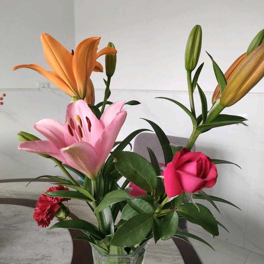 蕾蕾……