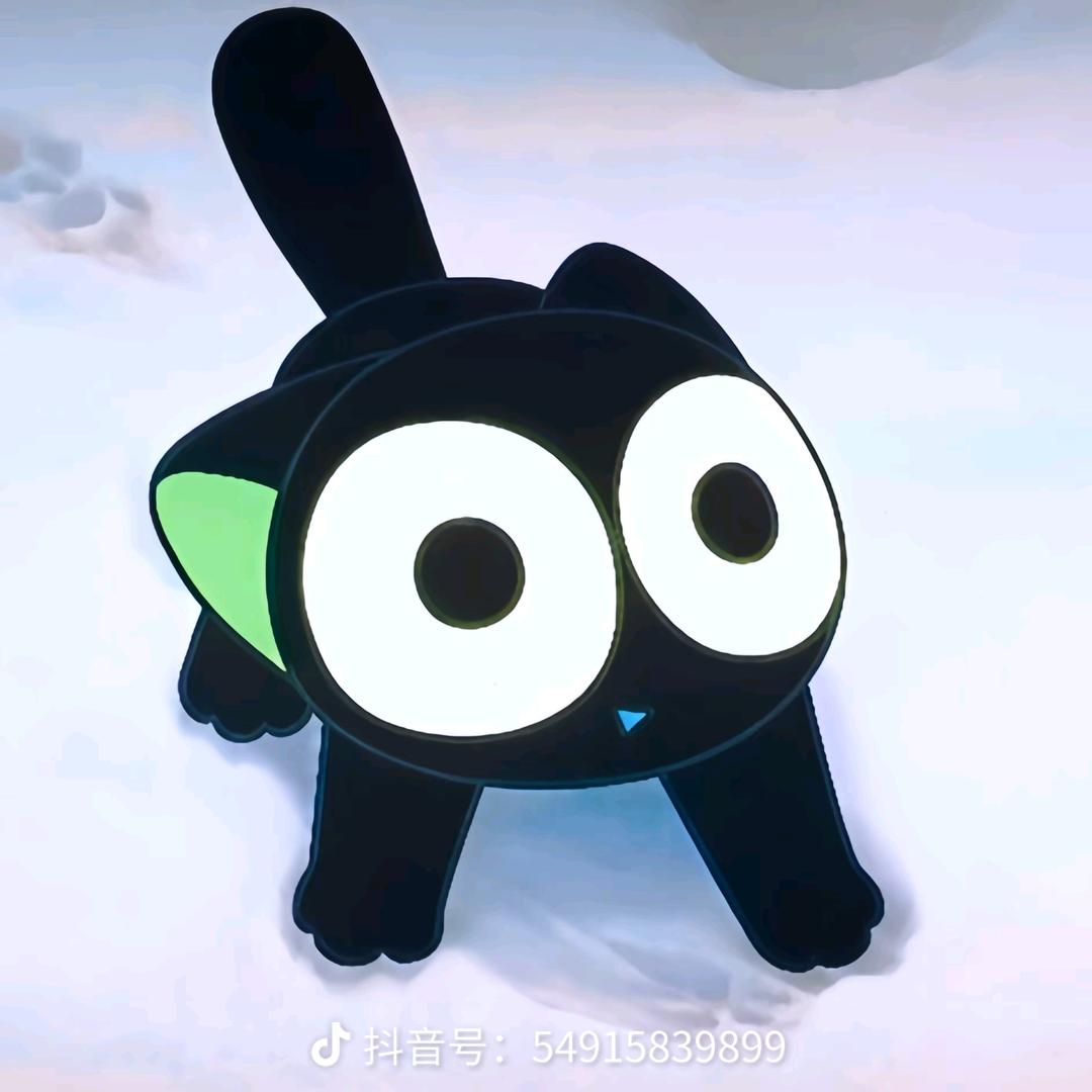 猫猫兔
