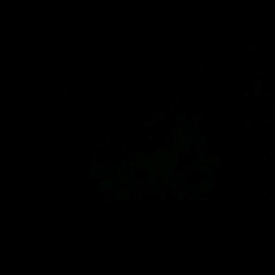 ℯℯℯ⃝疯ꦿ໌ꦿ໌ℯ⃝子ꦿ໌ꦿ໌的小情人