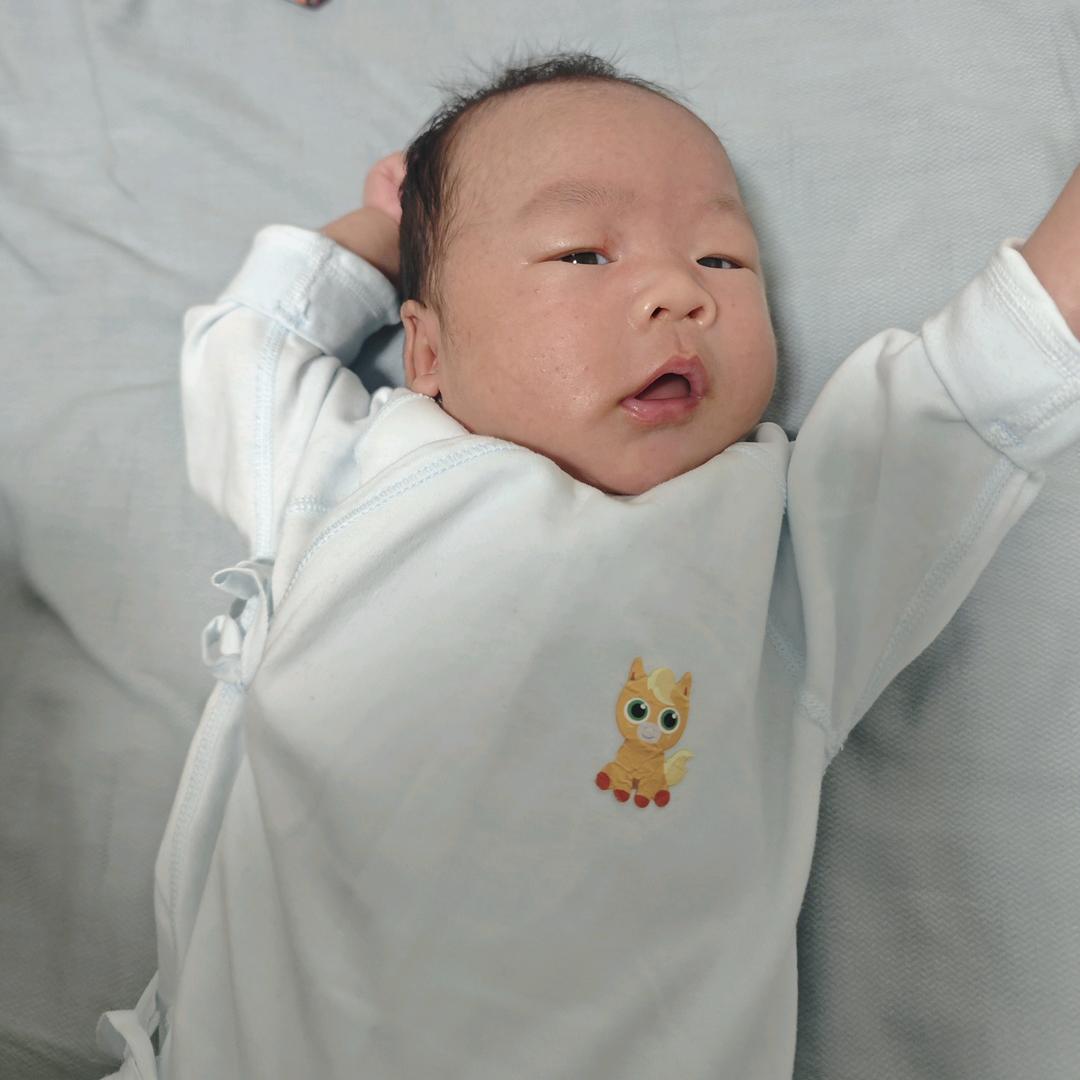 小七宝来了