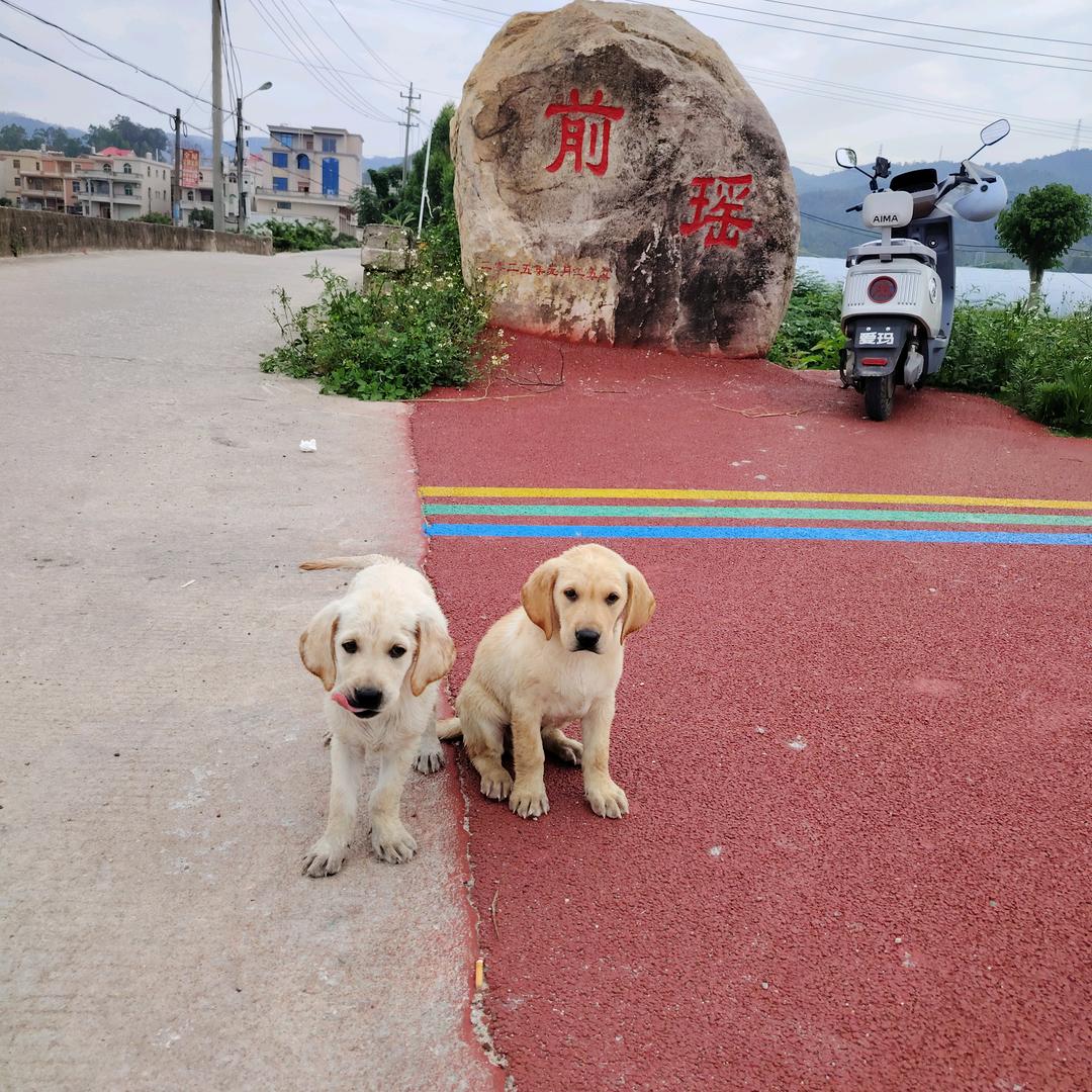 敢闯天下王建华