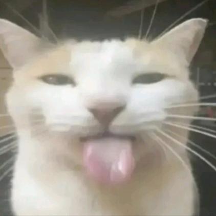 锌阿郝
