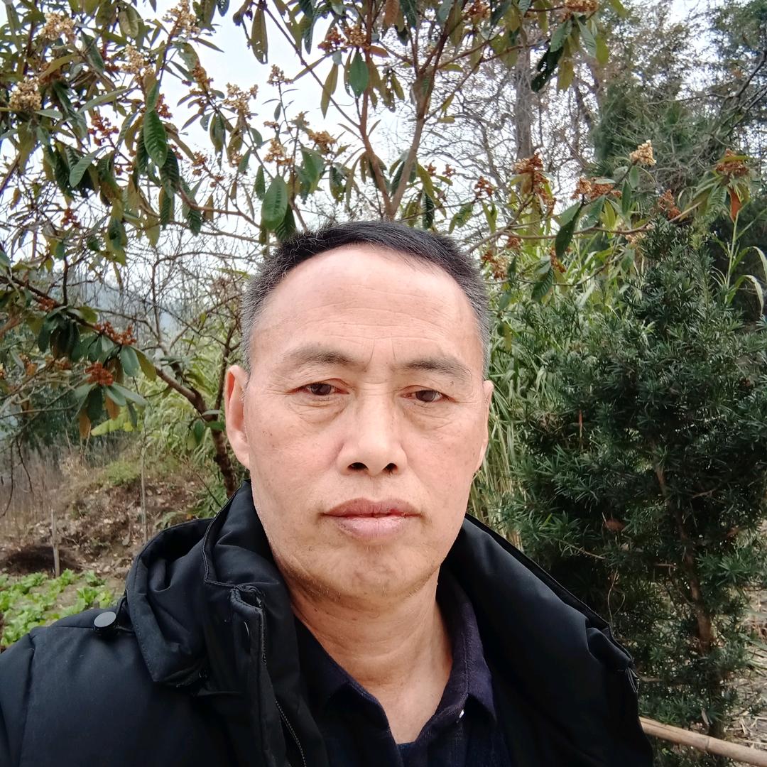 羊杨得亿