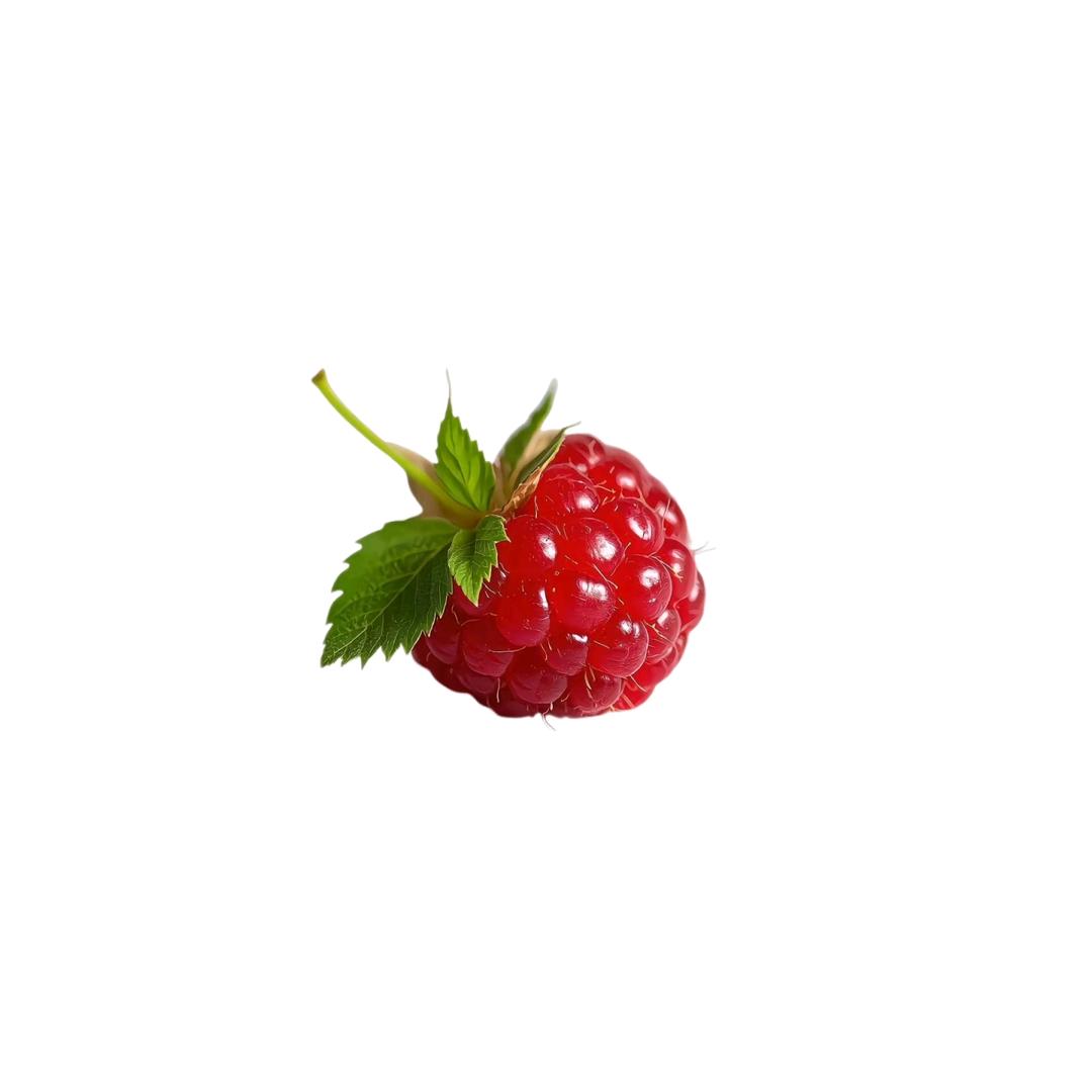 L-oiio.