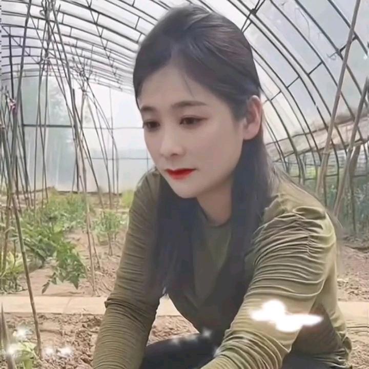 苏瑞豪