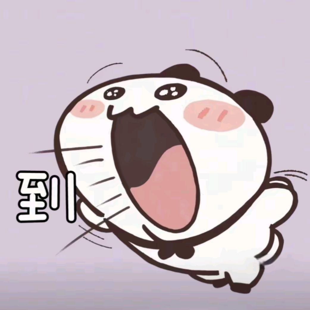 雨中蔷薇