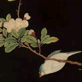明明就有吃饭