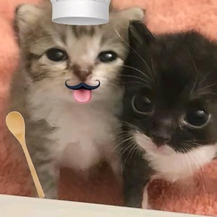 - ̗̀ 黑猫警长 ̖́-