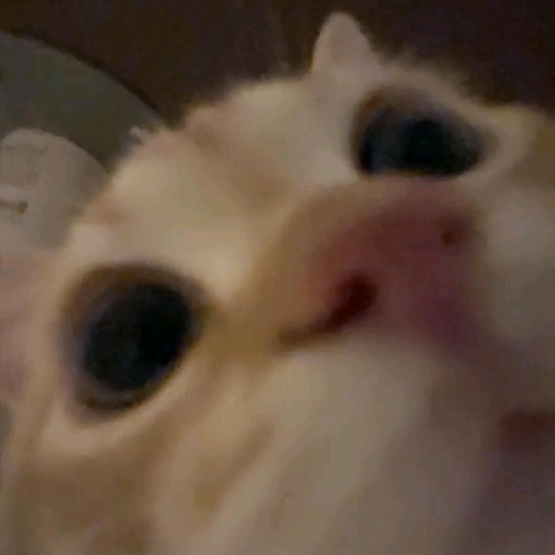 老公不是你这么帅