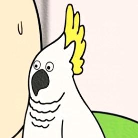 红鸟