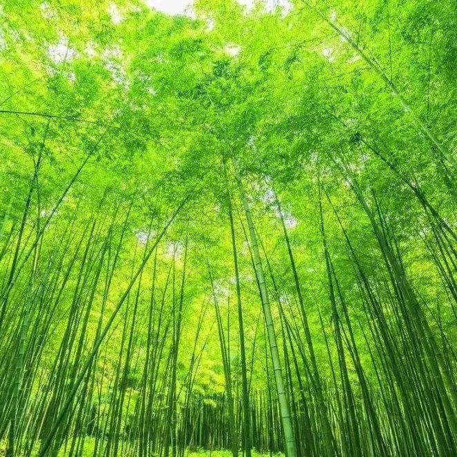 西渝业务员小哥