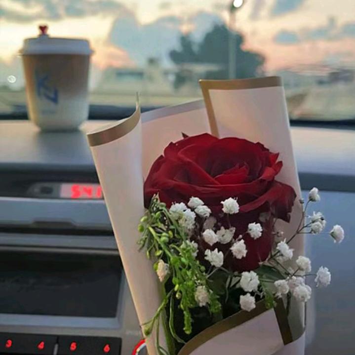 🌹平淡才是真🌹