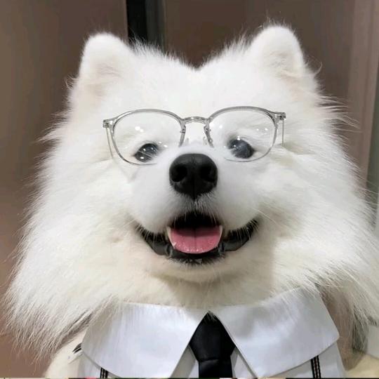 潼大王
