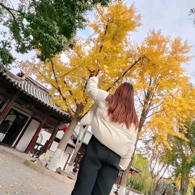 只饮烈酒不谈过往