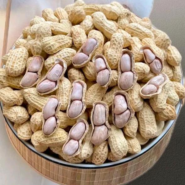 忠信水煮花生源头厂家