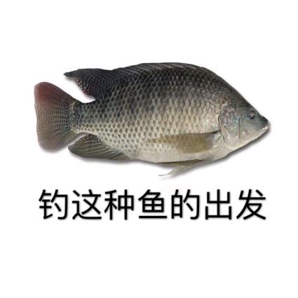 胡掌柜爱上钓鱼