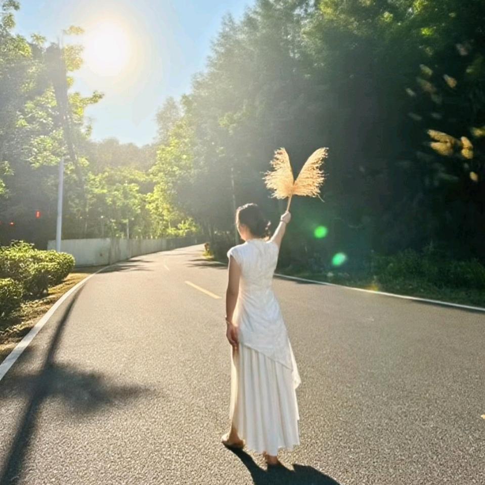 SY 凪🌳杰