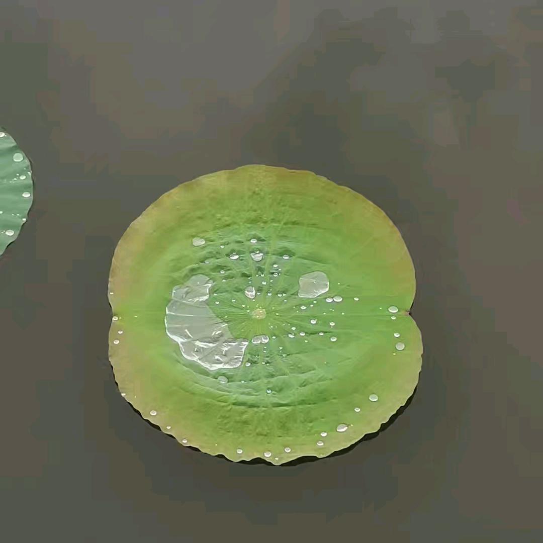 鑫垚驾校秦教练