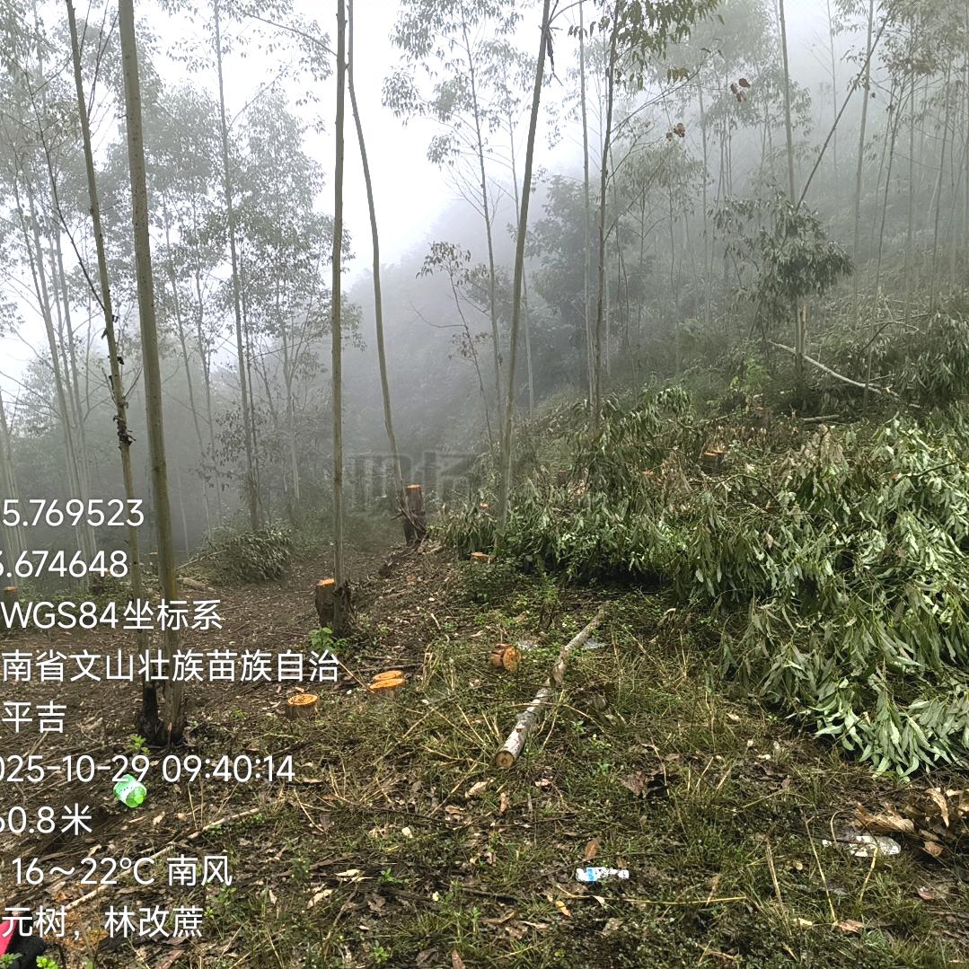 小覃