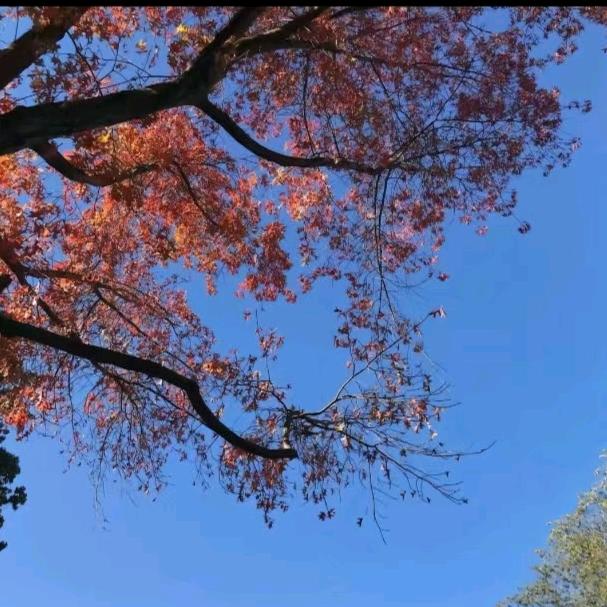 永浴爱河
