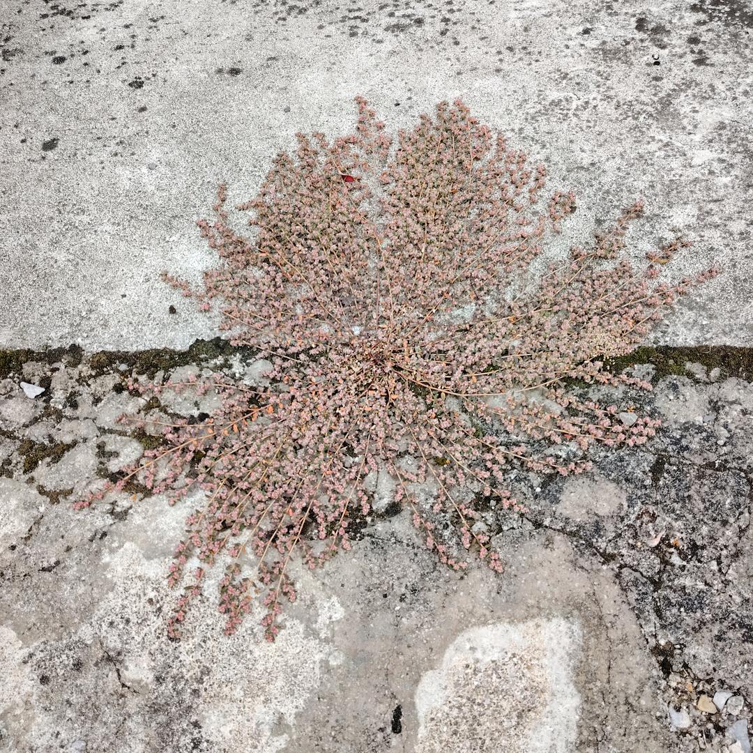 人生如梦.梦醒人散