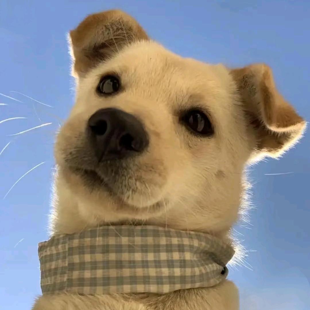 昵称