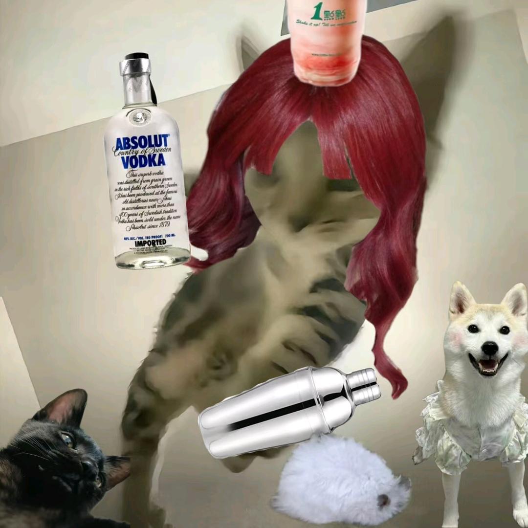 酒鬼阿辞（离异带三娃版）