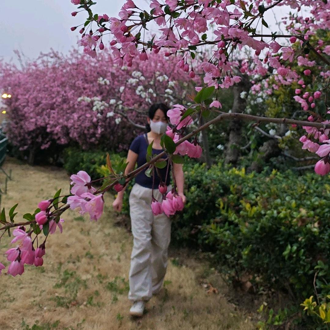 玲子🌸