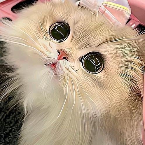 懒羊羊大王嘿！