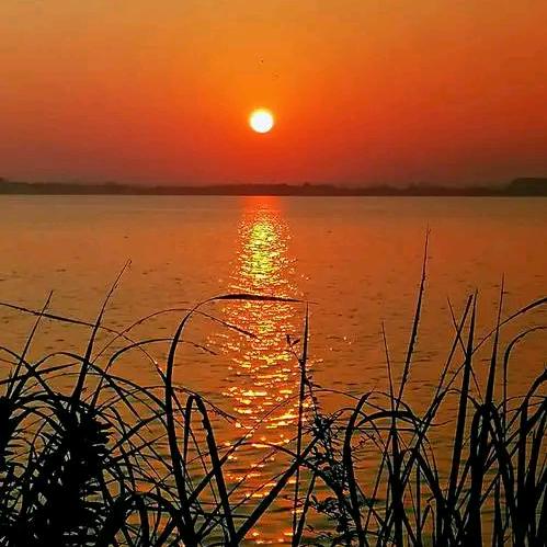 太素 人体能量管理