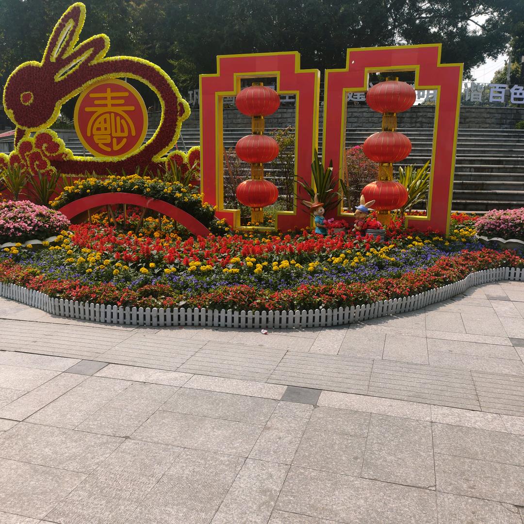 天天好心情