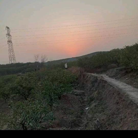 姚瑶《手机摄影》