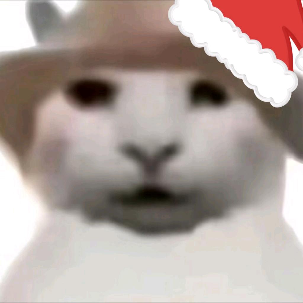 ㅤㅤ