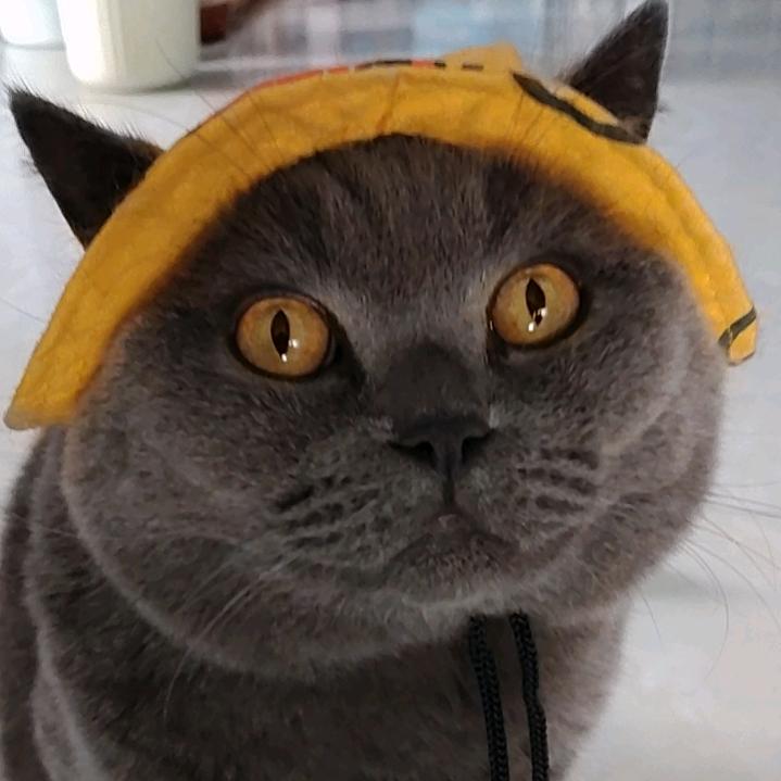 心太好一切都好💇‍♀️