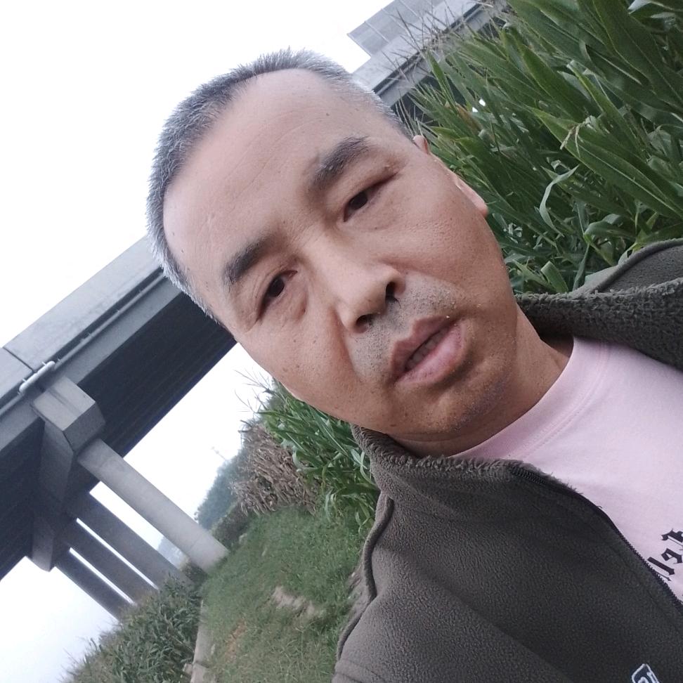 路见不平，拔刀相助