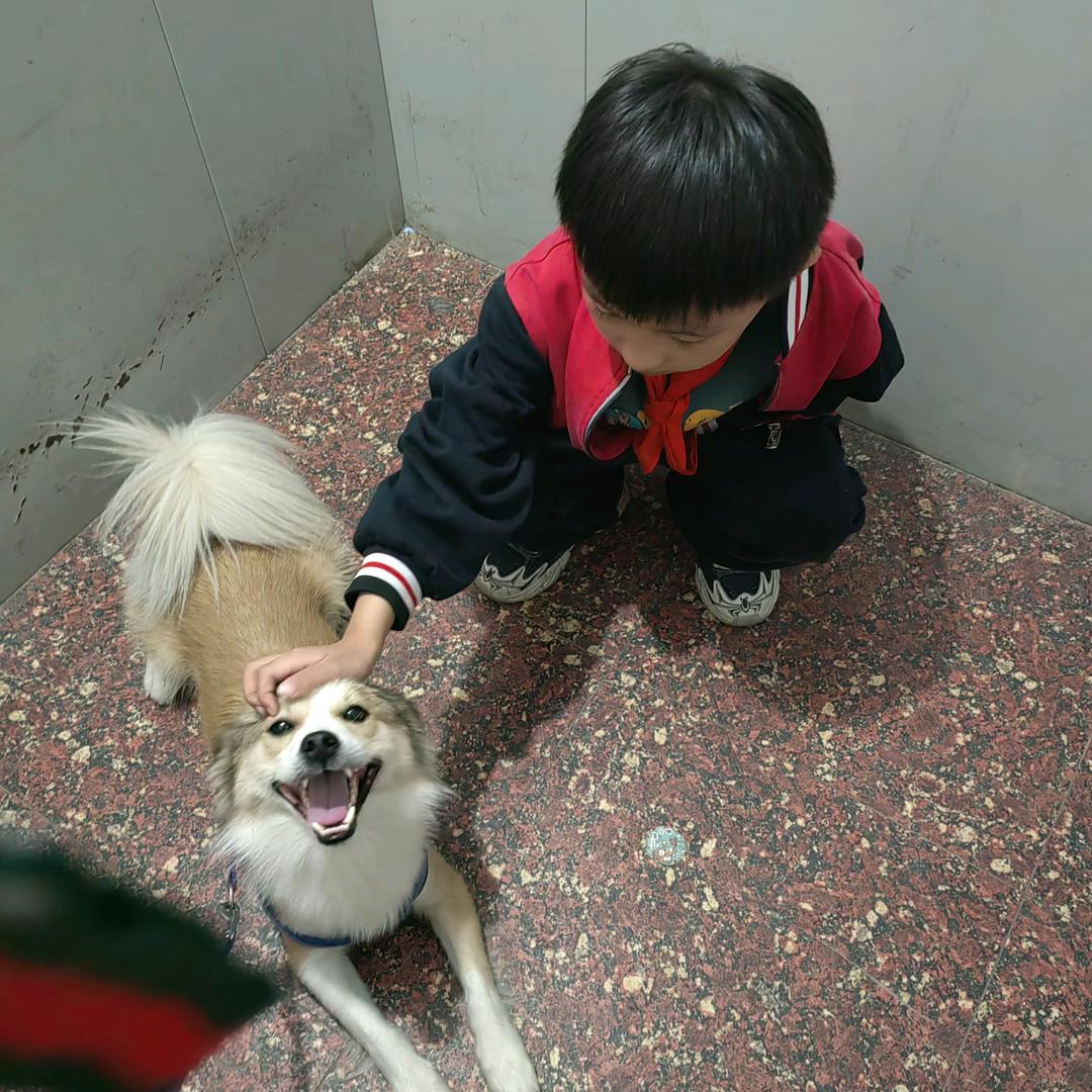 好运连连2+2+1