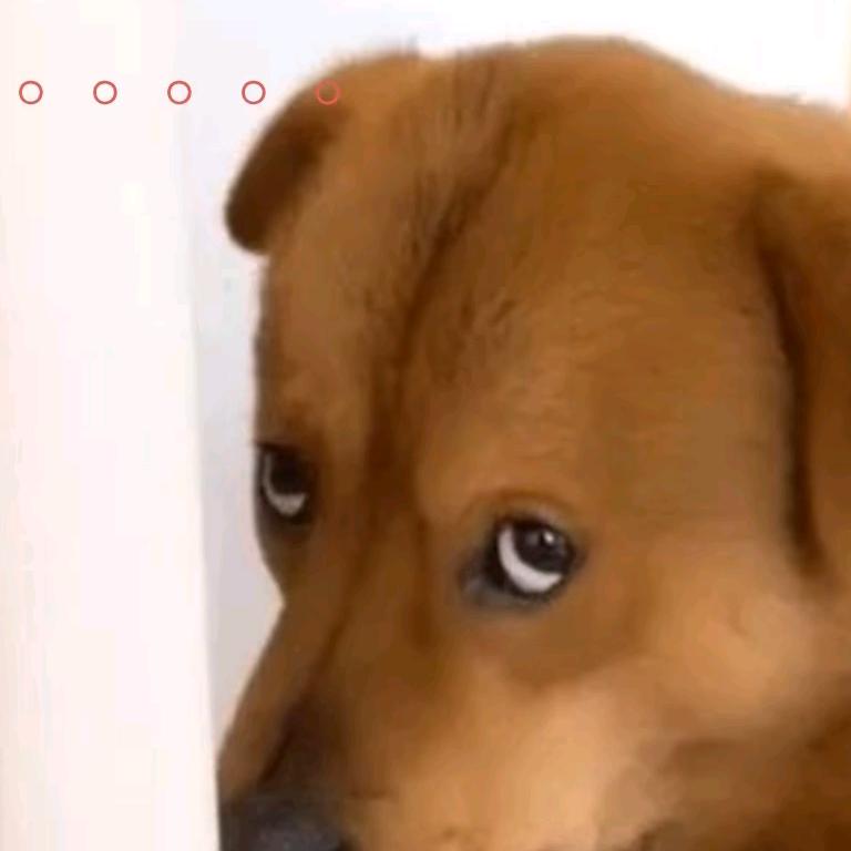 山谷跑狙一条龙