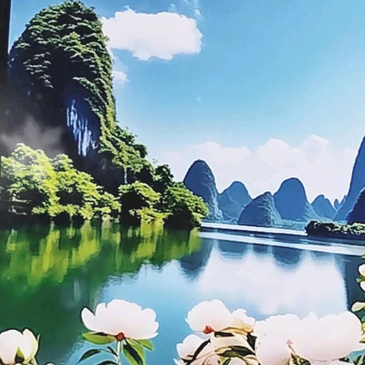 老龙