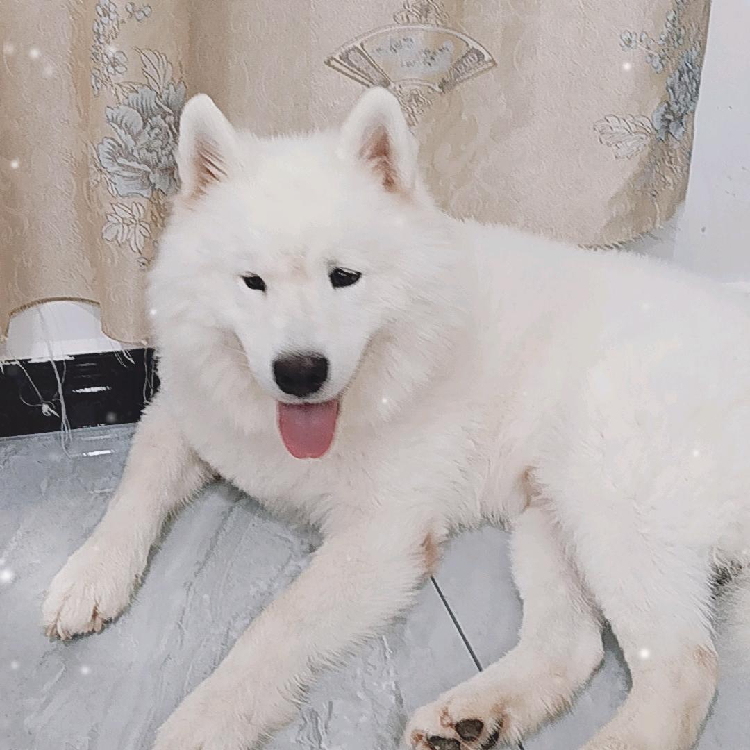 懂得就懂