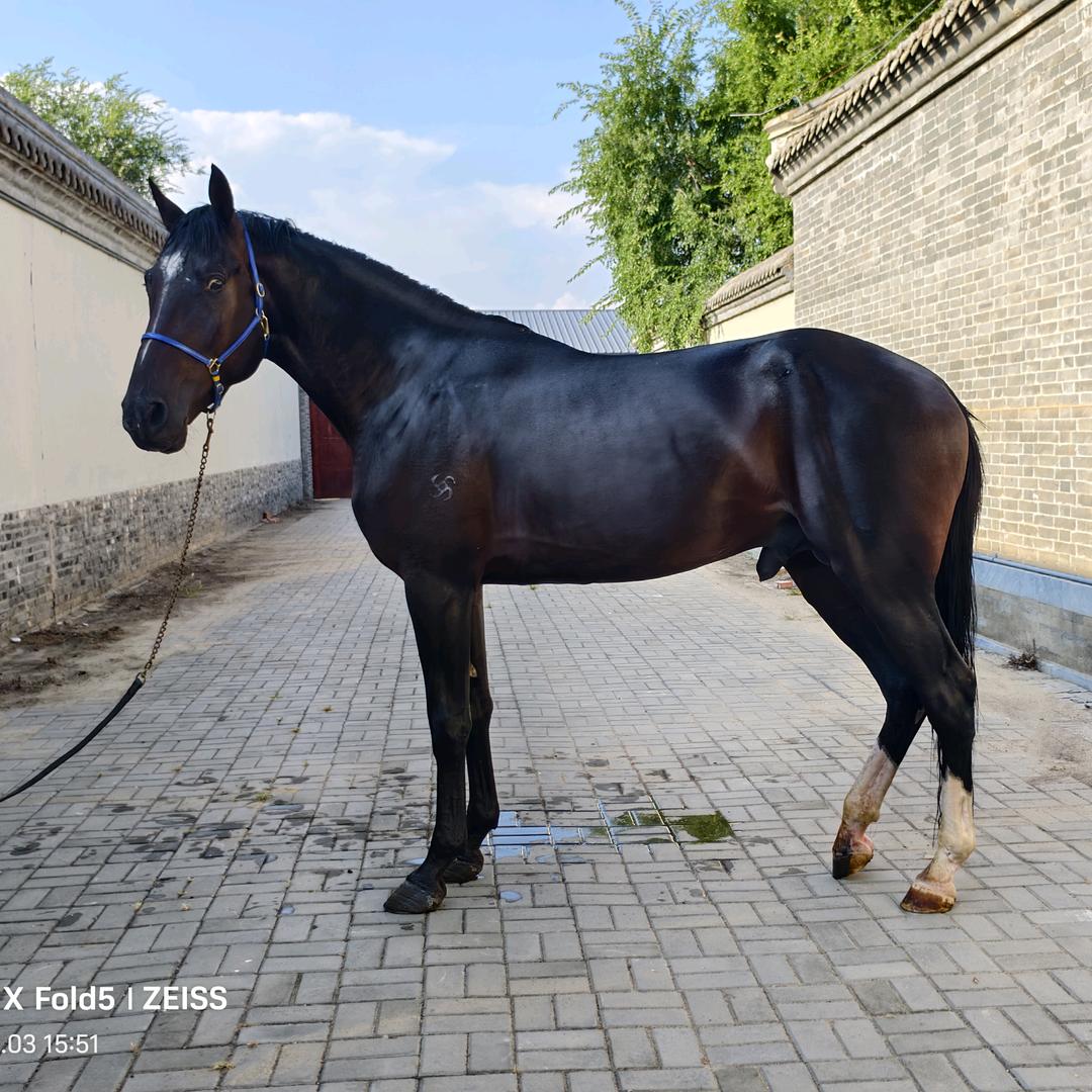 兴韵星马业·姜威