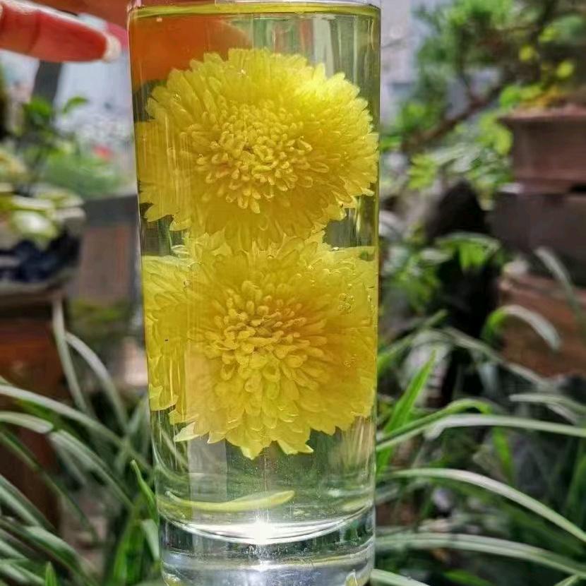 雾恋