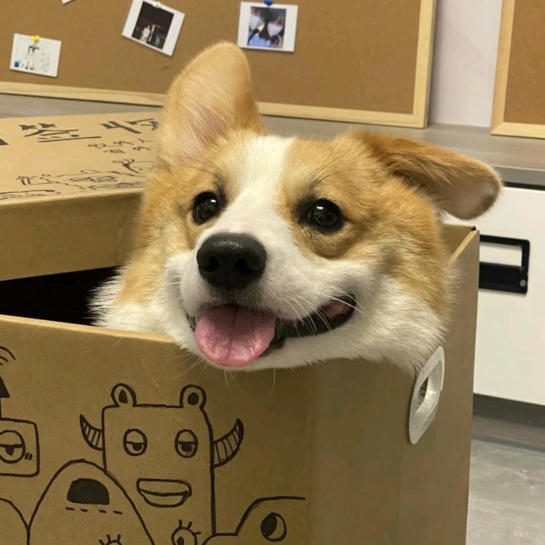 雅虎虎呀