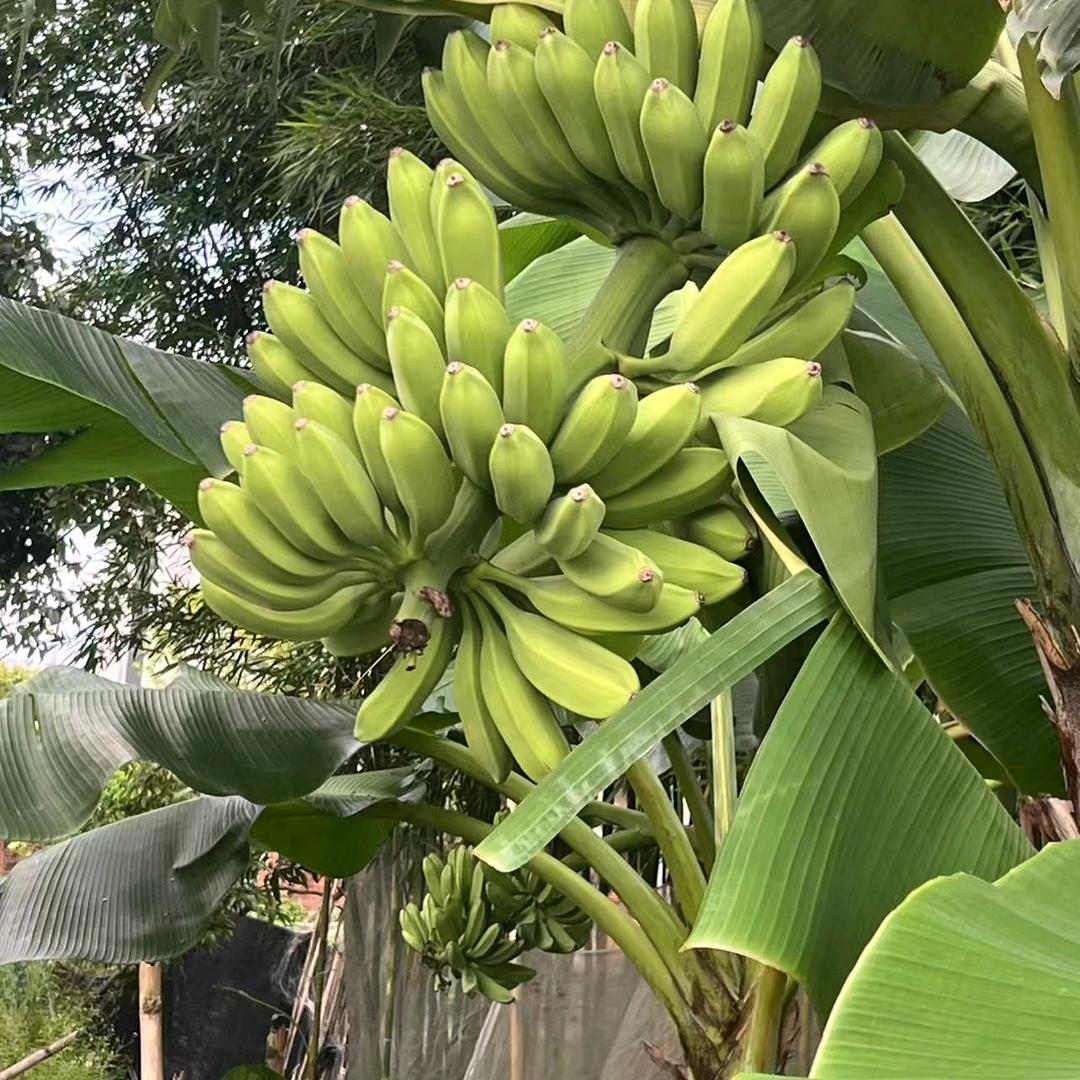 彩虹🌈雨天🎣