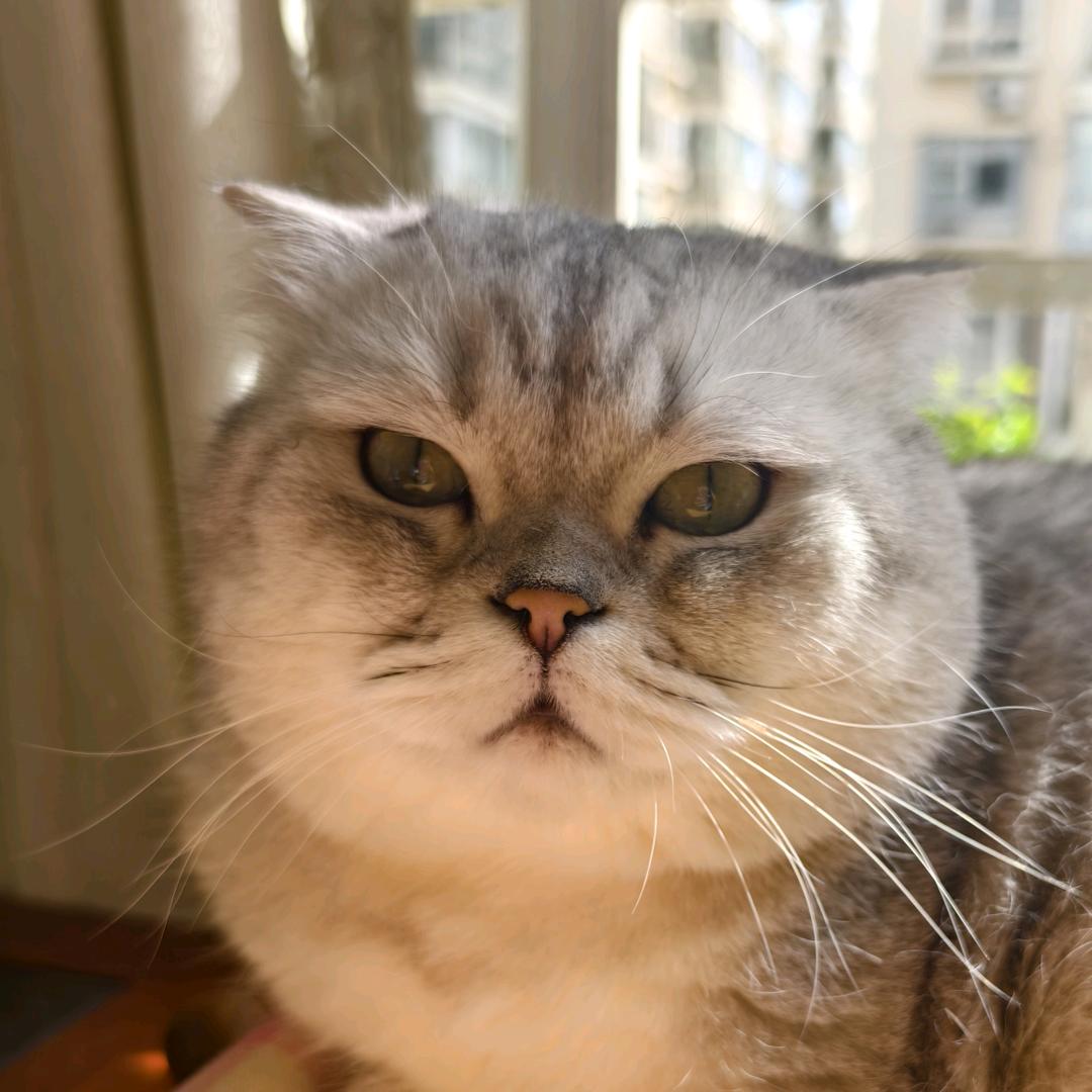 花椒椒的小yi巴ˠ🌻