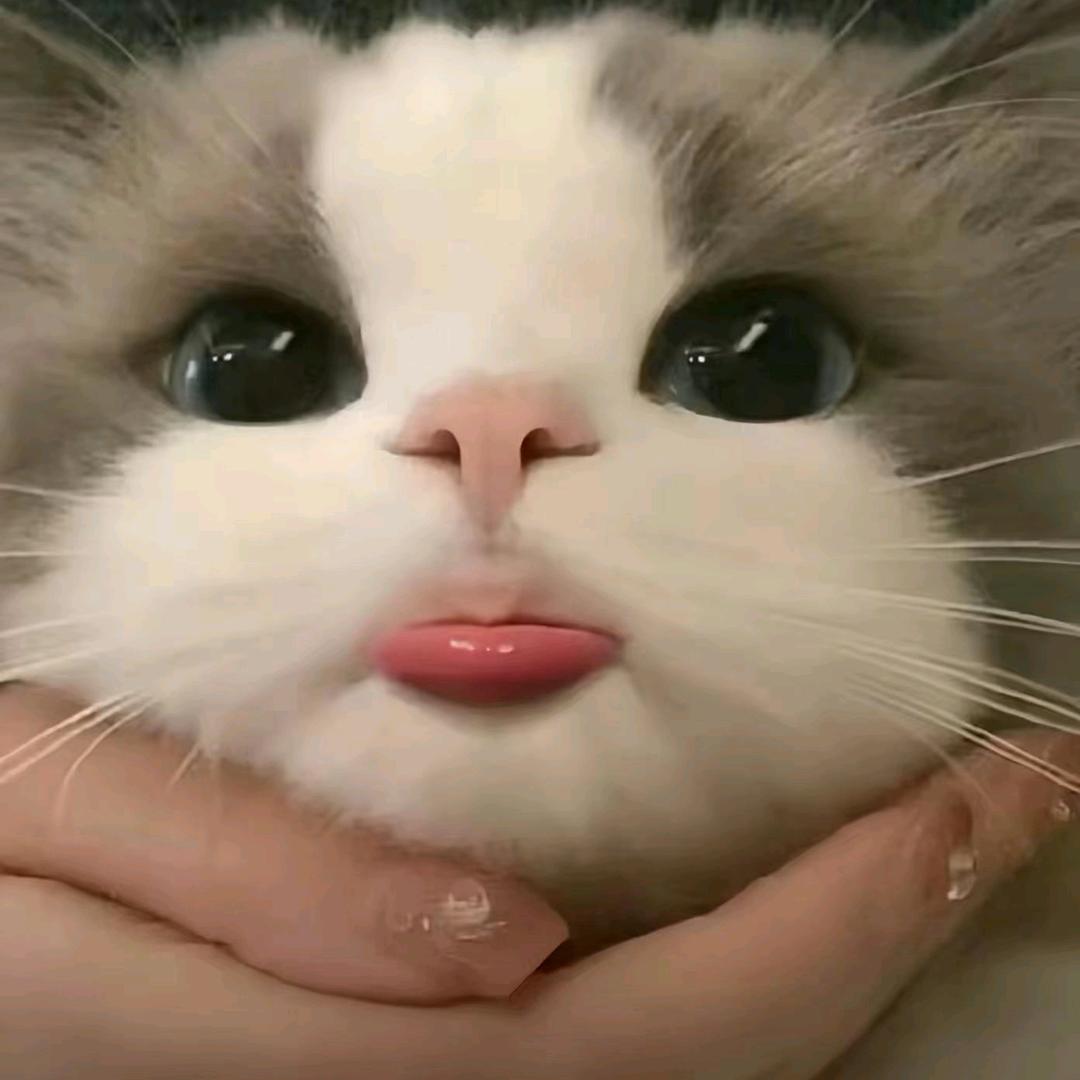 用户风712242257694