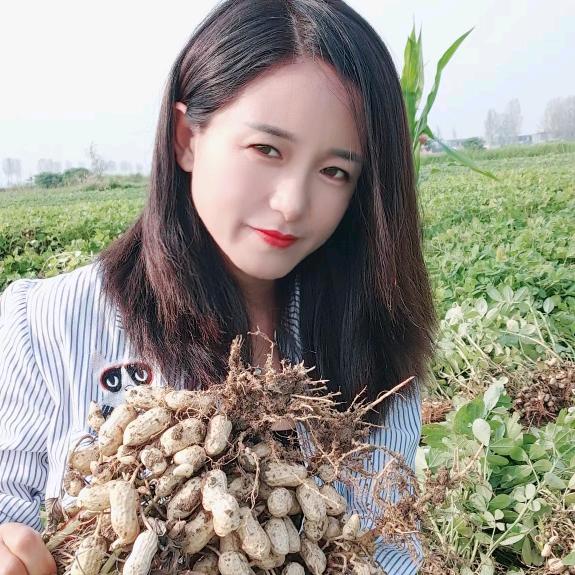 河南小静