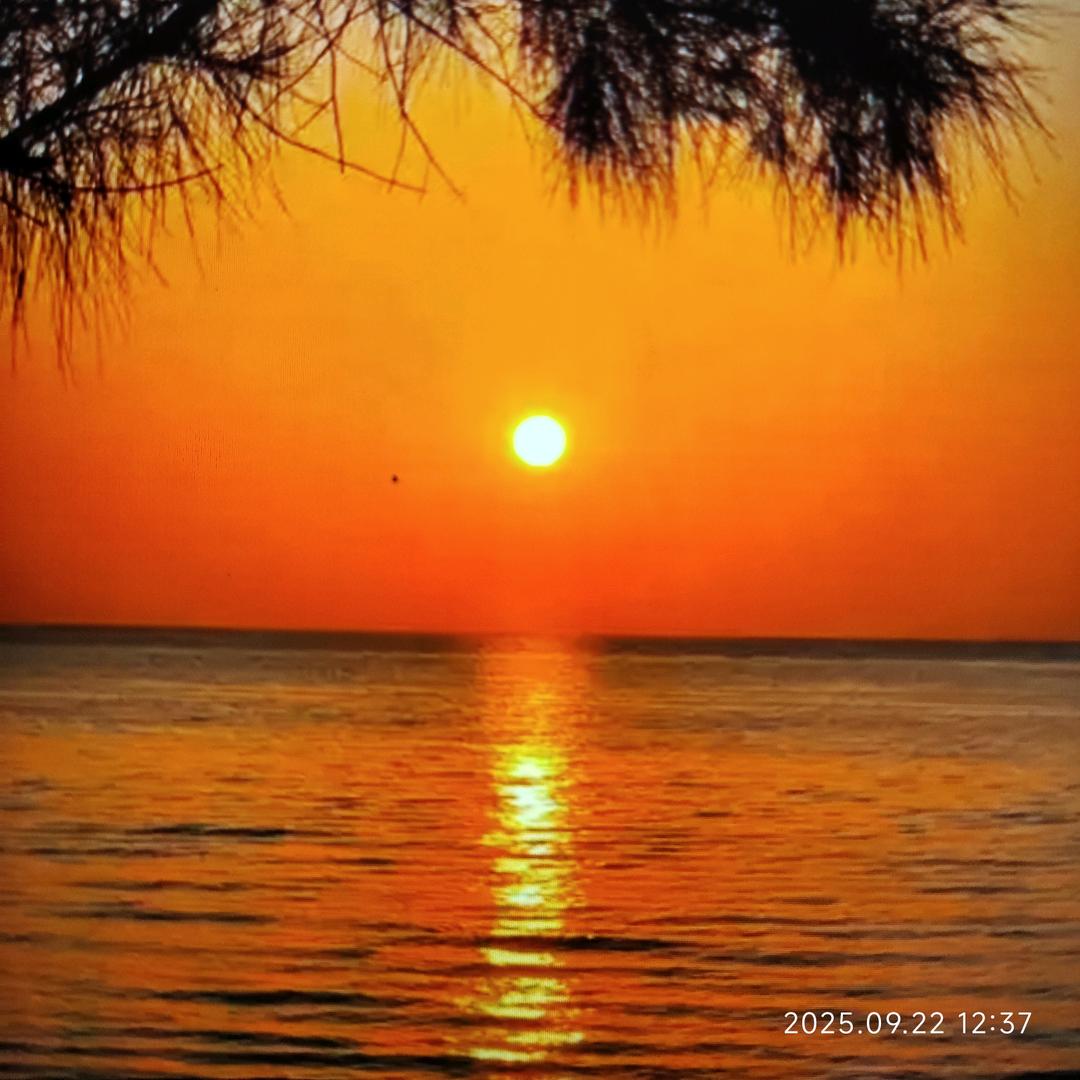 春天de阳光☀️