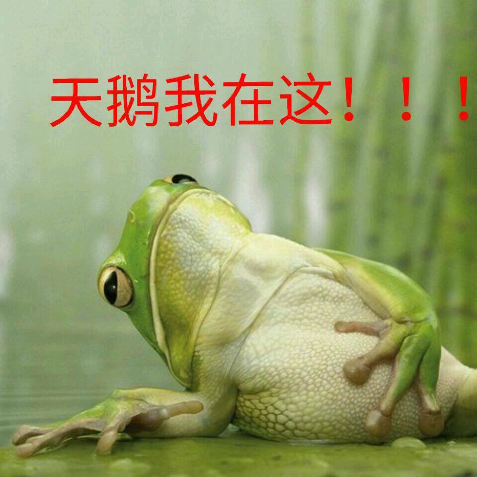 纵横四海